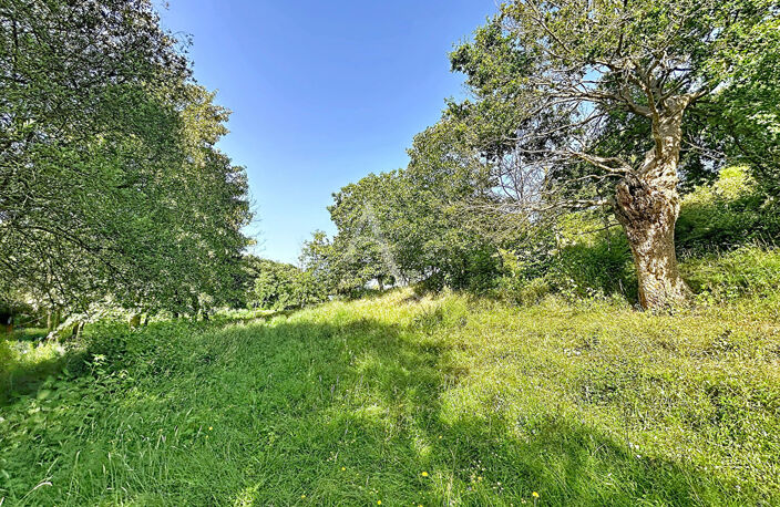 Terrain Loigne Sur Mayenne 23946 m2 — photo 4