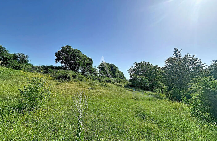 Terrain Loigne Sur Mayenne 23946 m2 — photo 5