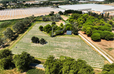 Propriété agricole de 19000m2 sur Saint Cyprien — photo du bien