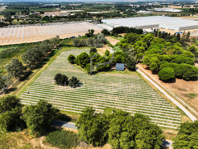 Propriété agricole de 19000m2 sur Saint Cyprien — photo du bien