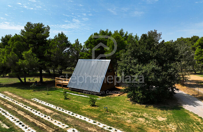 Propriété agricole de 19000m2 sur Saint Cyprien — photo 2