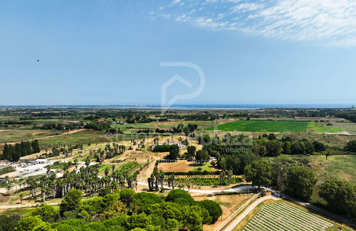 Propriété agricole de 19000m2 sur Saint Cyprien — photo 3