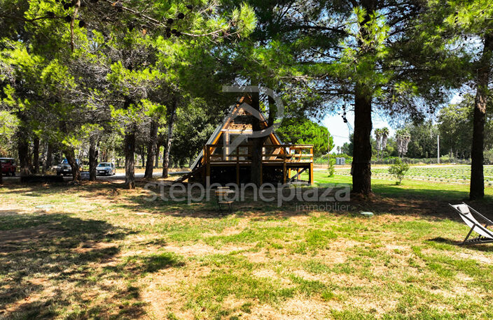 Propriété agricole de 19000m2 sur Saint Cyprien — photo 5