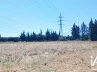 Vente Terrain agricole 18 805 m&sup2; — photo 3