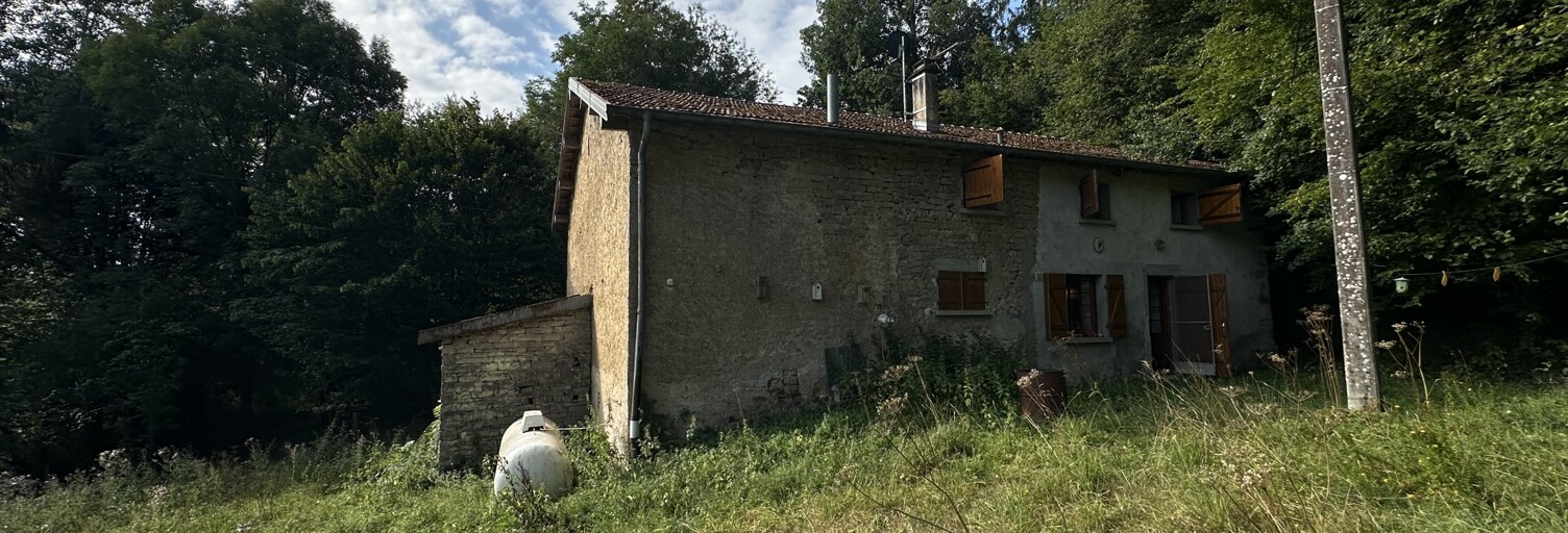 Maison 5 Pièces 150 m² à vendre à Bonvillet (88260)