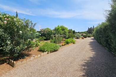 Terrain  114000 €