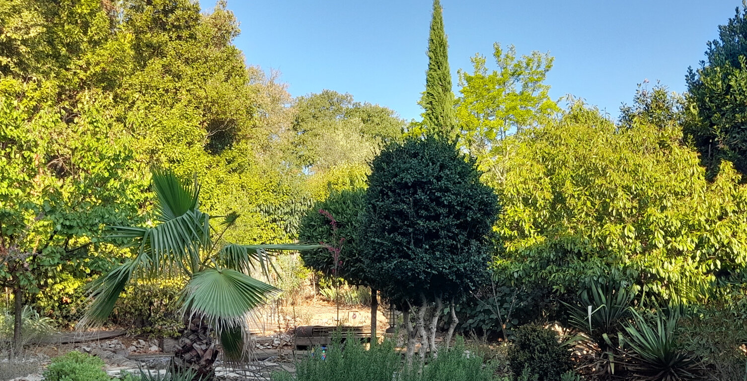 A VENDRE  - MAISON DE VILLAGE AUTHENTIQUE  RENOVEE  ET JARDIN ATTENANT - DURFORT — photo 1