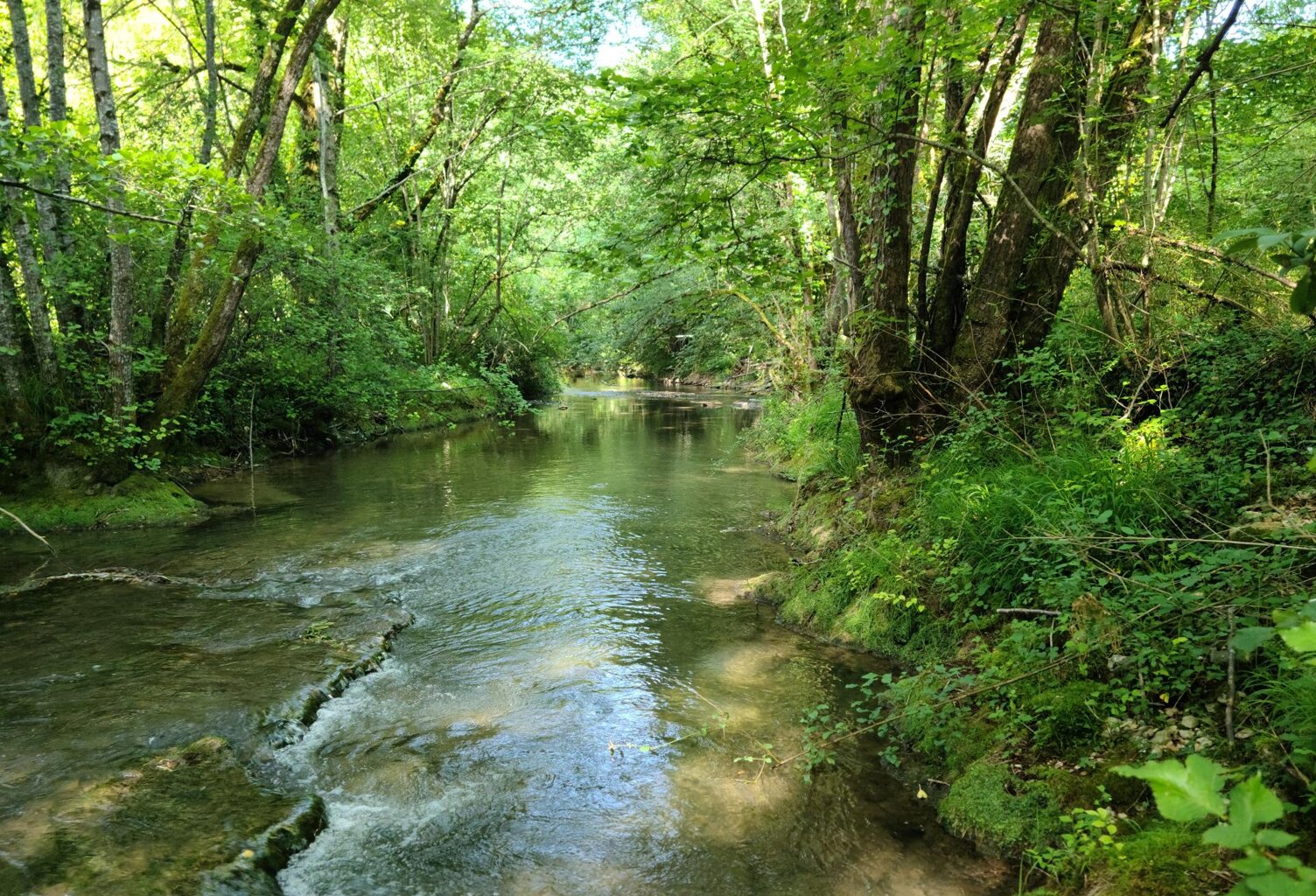 Lot de 7 parcelles en zone naturelle — photo 1