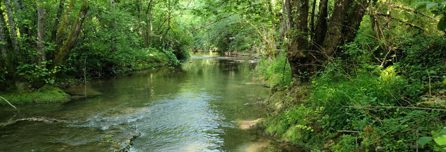 Terrain  20925 m² à vendre à Labastide-du-Vert (46150)
