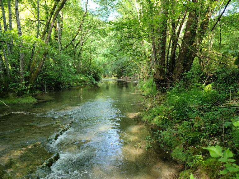 Lot de 7 parcelles en zone naturelle — photo 1