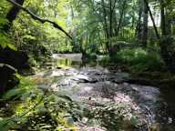 Lot de 7 parcelles en zone naturelle — photo 2