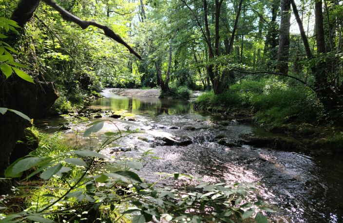 Lot de 7 parcelles en zone naturelle — photo 2