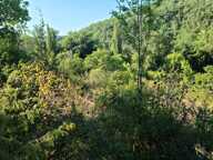 Lot de 7 parcelles en zone naturelle — photo 3