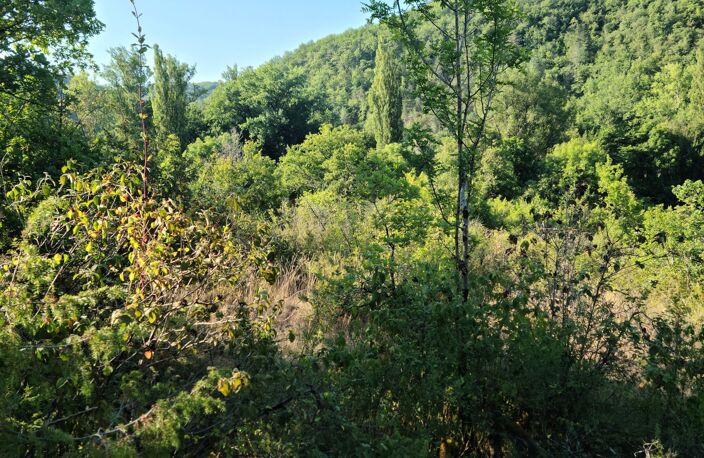 Lot de 7 parcelles en zone naturelle — photo 3