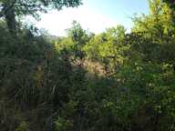 Lot de 7 parcelles en zone naturelle — photo 4