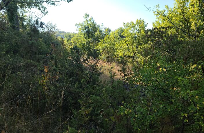 Lot de 7 parcelles en zone naturelle — photo 4