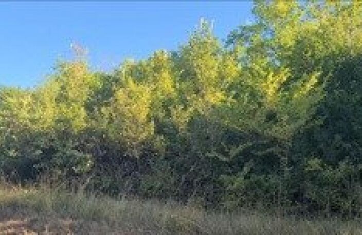 Lot de 7 parcelles en zone naturelle — photo 5