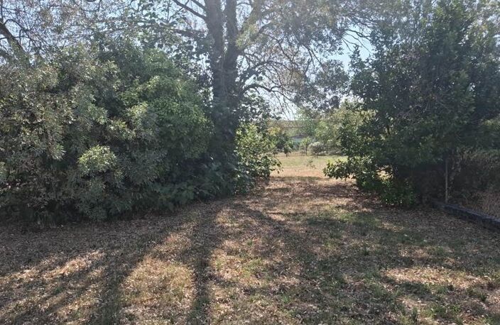 Vente terrain  967 m² Revel (31250) — photo 3