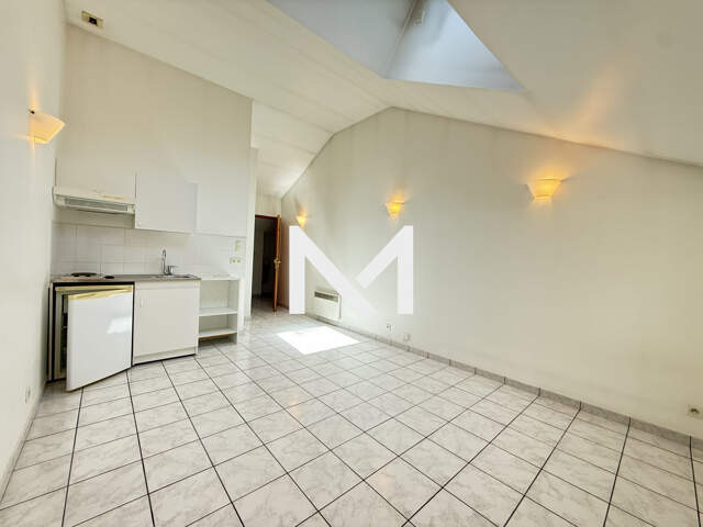 ILE VERTE - STUDIO DANS COPROPRIETE CALME — photo du bien