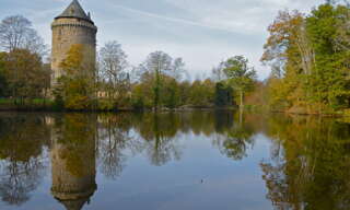 Photo N° 2