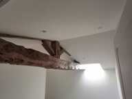 T3 — photo 2
