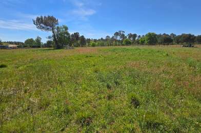 Terrain  77000 €
