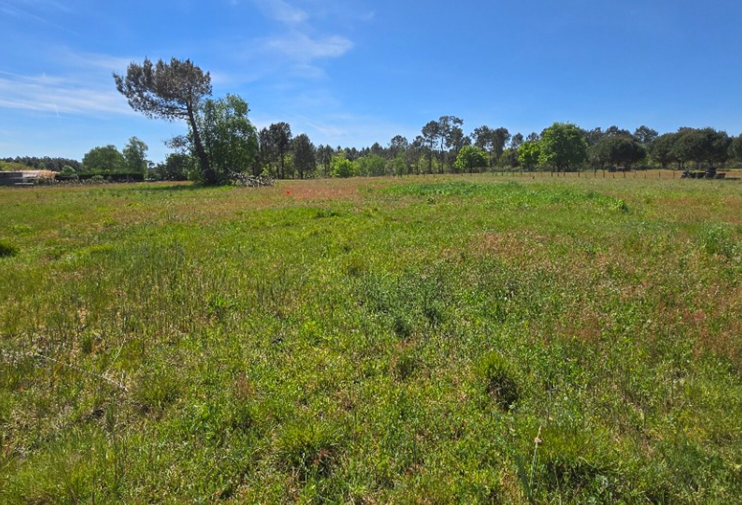 Terrain à bâtir à Aubie-et-Espessas (33240) — photo 1