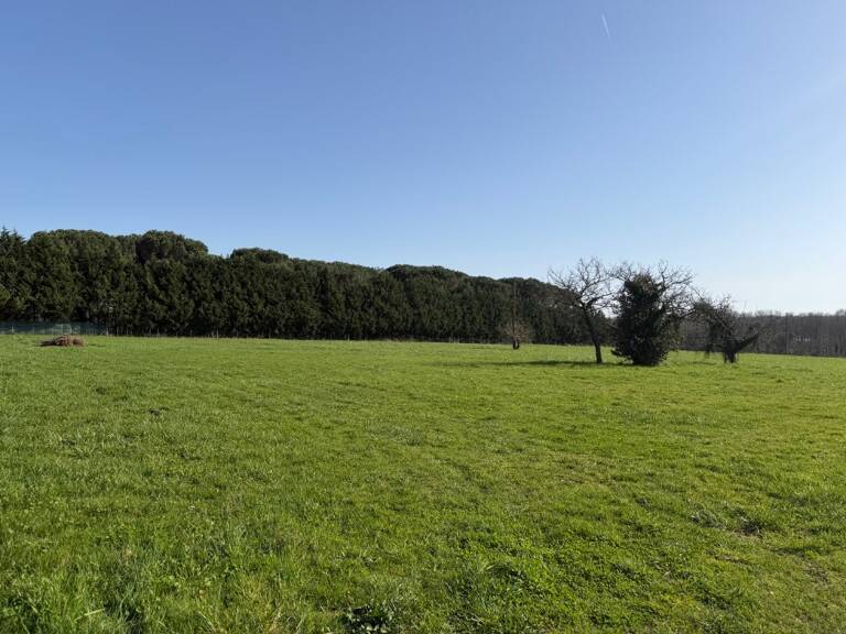 Terrain à bâtir à Toulenne (33210) — photo 1