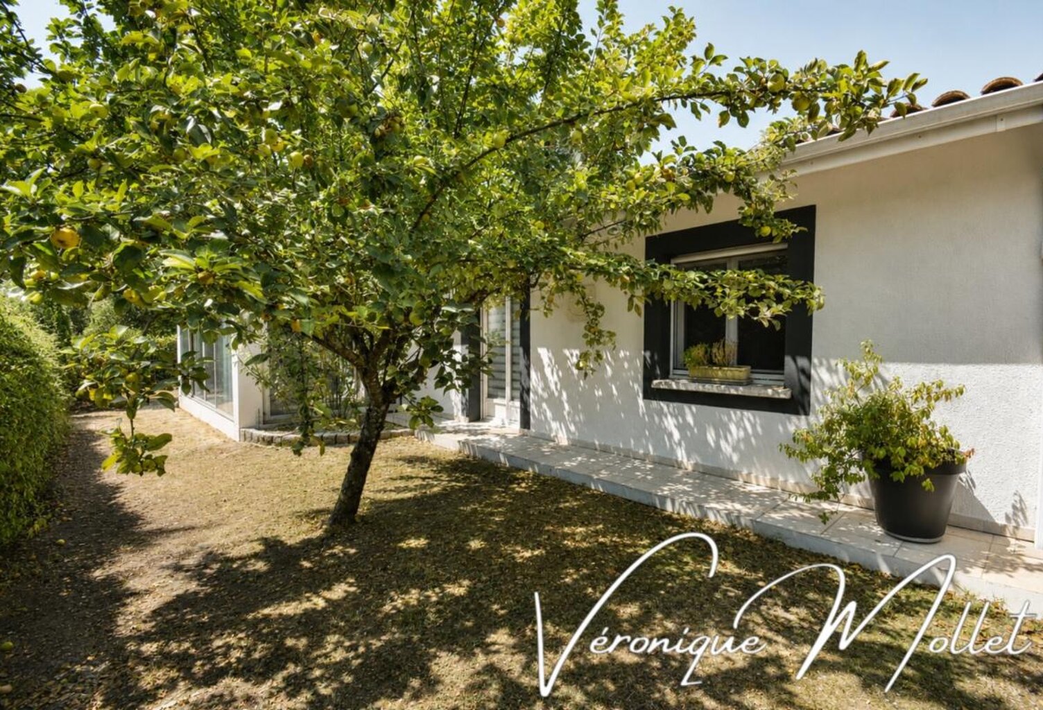 SAINTE-EULALIE – PLAIN-PIED, 3 CHAMBRES, BUREAU, PISCINE ET DOUBLE GARAGE — photo 1