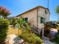 PLAN DE GRASSE | MAISON MAS PROVENCAL | 232 M2 — photo 4