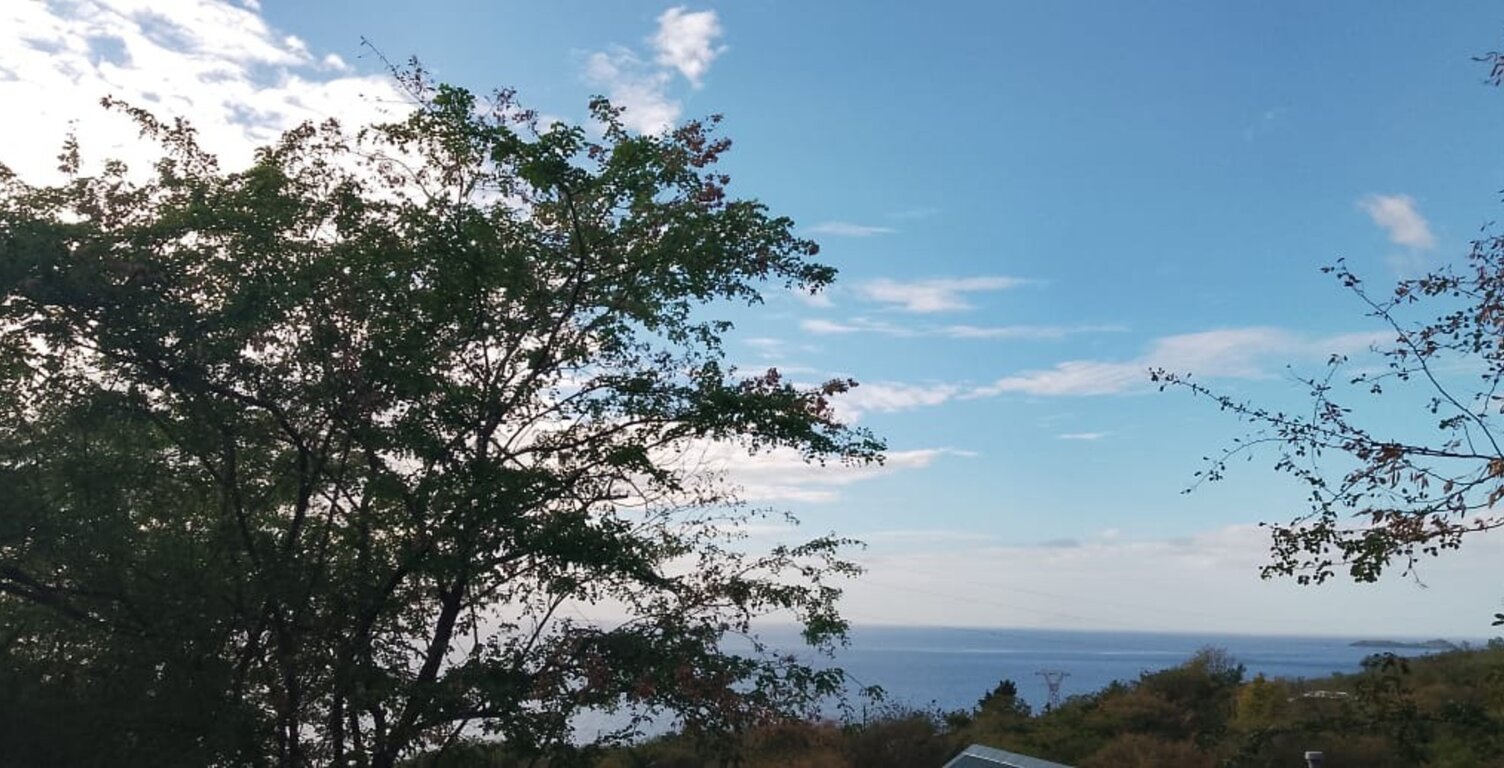   À VENDRE – Terrain de 1 600 m² avec vue mer à Bouillante — photo 1