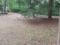 Maison sur un terrain de 4 000 m² – DOLLON — photo 3