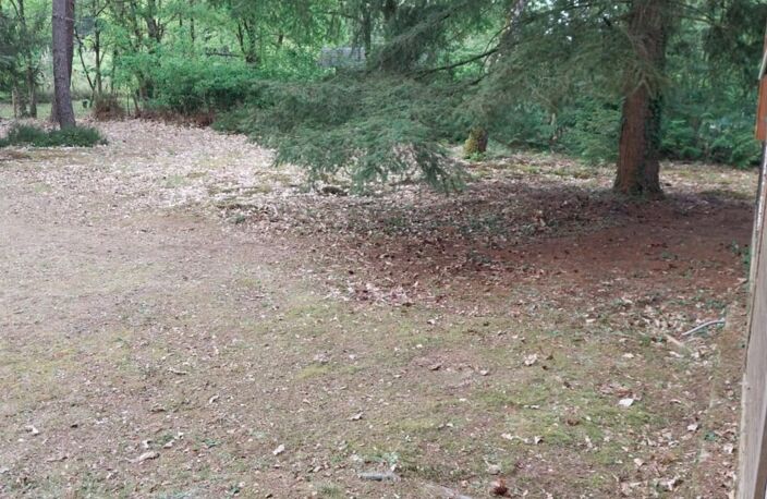 Maison sur un terrain de 4 000 m² – DOLLON — photo 3