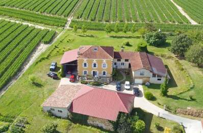 Maison 6 pièces 253m² - 5 chambres - Ancien chai - Bodega - Terrain 20 000m² - SAINT SEVER (40) — photo du bien