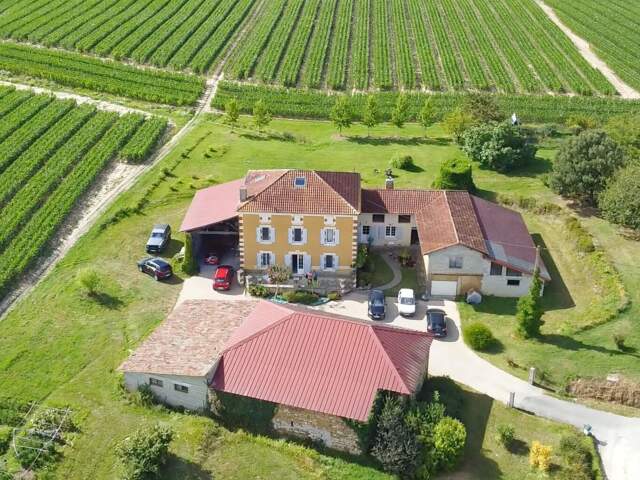 Maison 6 pièces 253m² - 5 chambres - Ancien chai - Bodega - Terrain 20 000m² - SAINT SEVER (40) — photo du bien