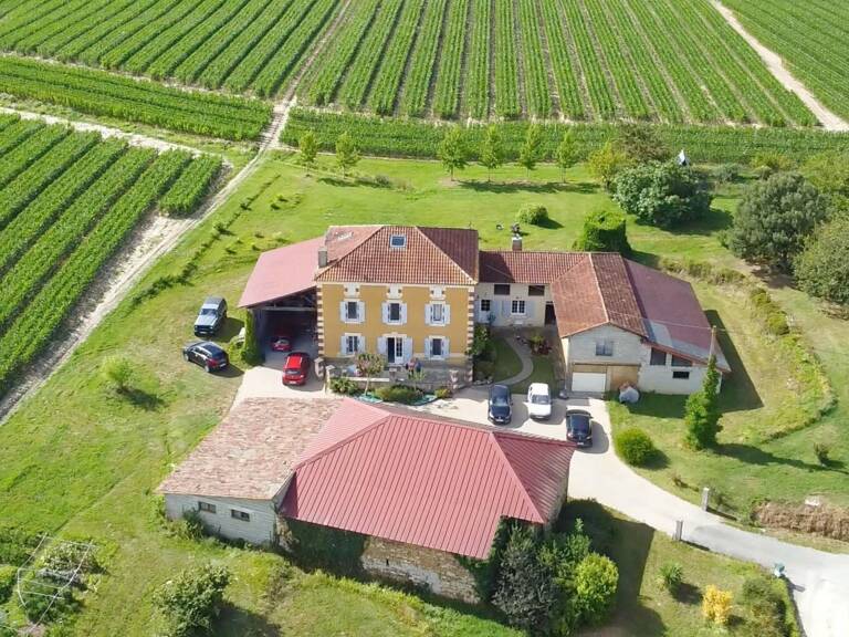 Maison 6 pièces 253m² - 5 chambres - Ancien chai - Bodega - Terrain 20 000m² - SAINT SEVER (40) — photo 1