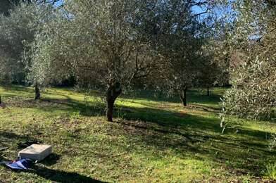 Terrain  133900 €