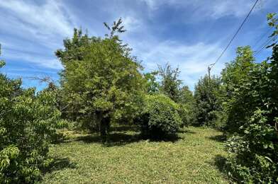 Terrain  36000 €