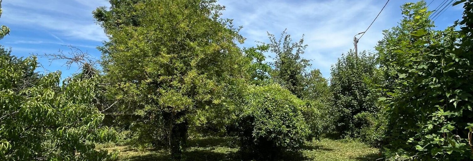 Terrain  850 m² à vendre à Laon (02000)