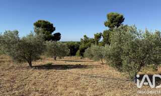 Terrain  28595 m² à vendre à Paulhan (34230)
