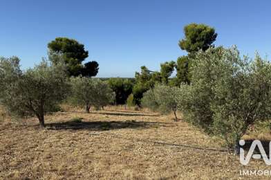 Terrain  75000 €