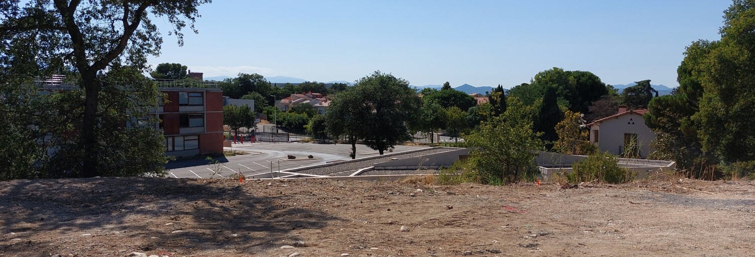 Photo N° 2