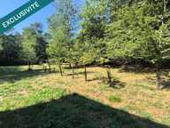 Au calme sur 4052 m2 arboré — photo 3