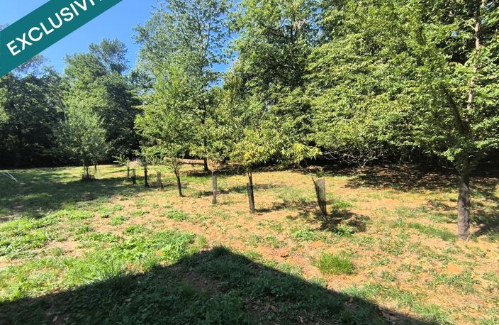 Au calme sur 4052 m2 arboré — photo 3