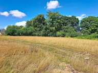 Terrain constructible et viabilisé proche Lannion — photo 4