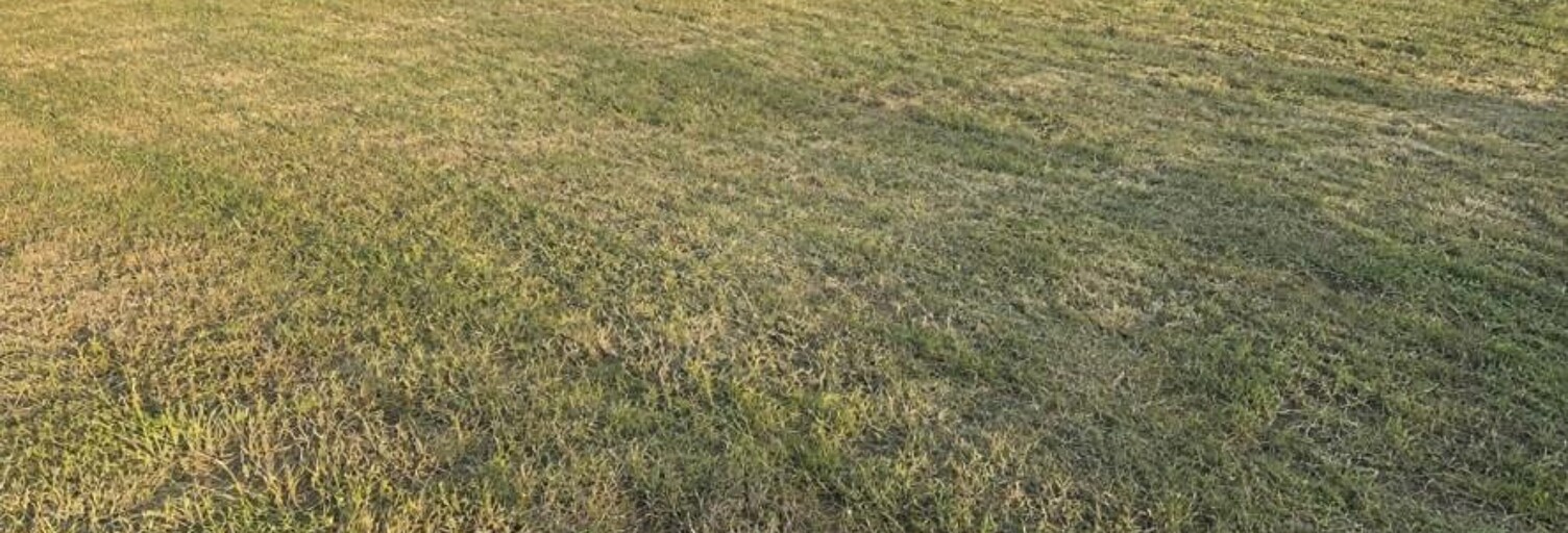 Terrain  1000 m² à vendre à Huppy (80140)