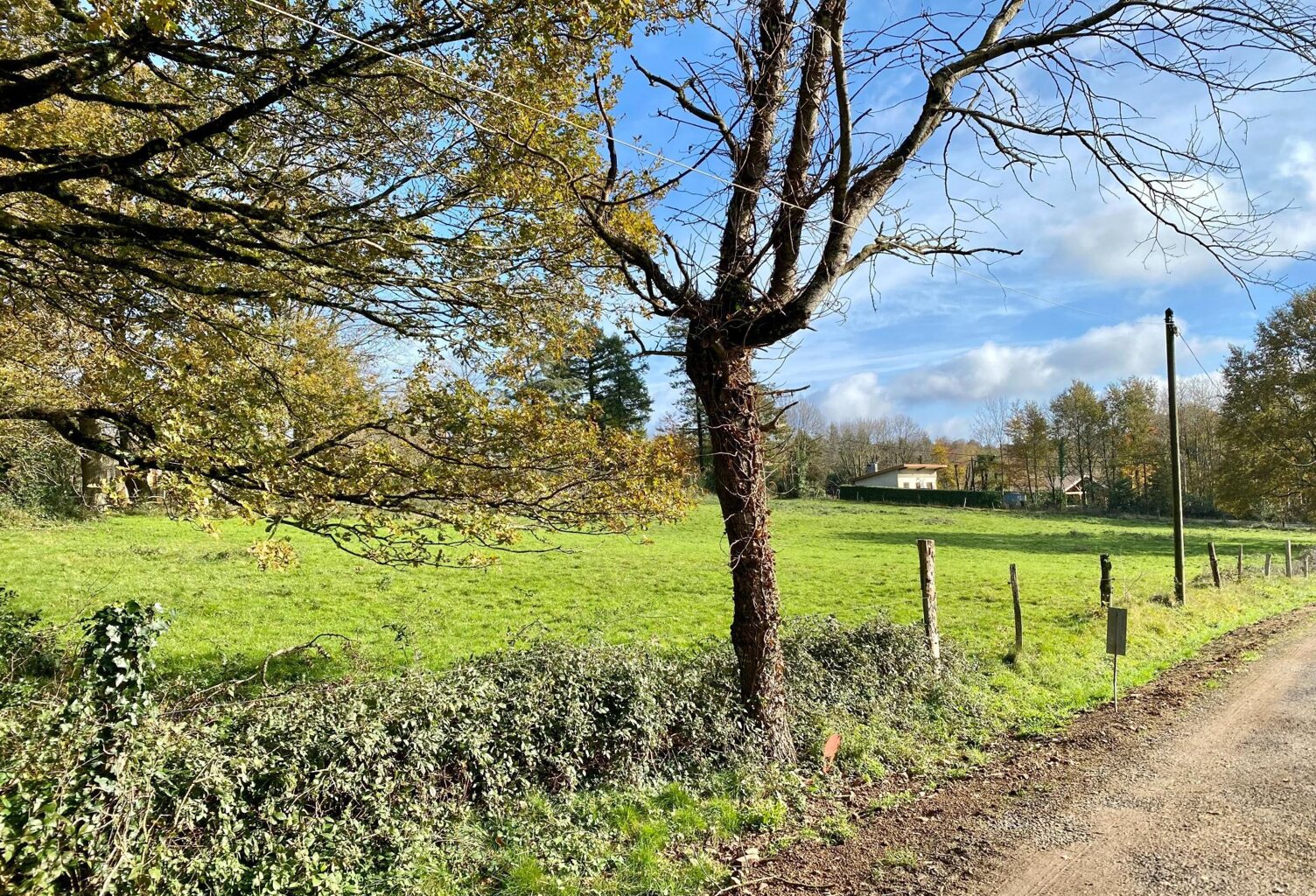 Secteur prisé — photo 1