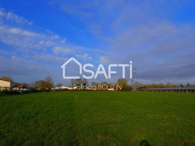 TERRAIN PROFESSIONNEL VIABILISÉ ET BORNÉ 1600 M2  A NIORT ! — photo du bien