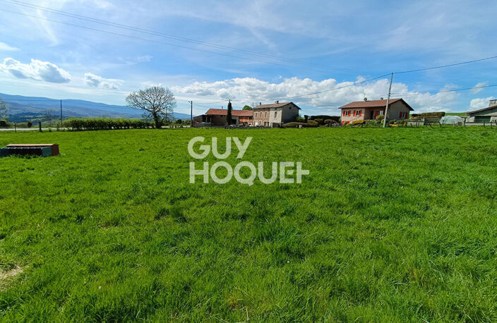 terrain — photo 4