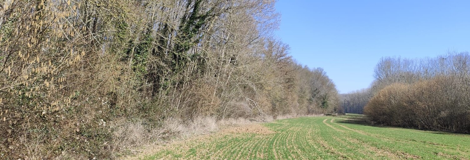 Photo N° 2